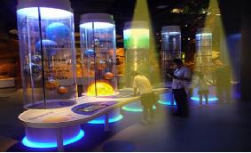 亚星游戏登录平台